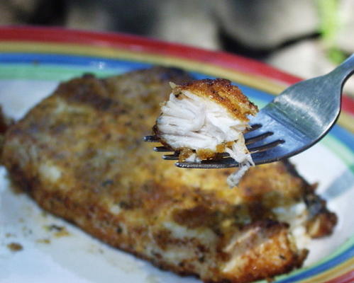 darnes de flétan croustillantes d'oncle bill