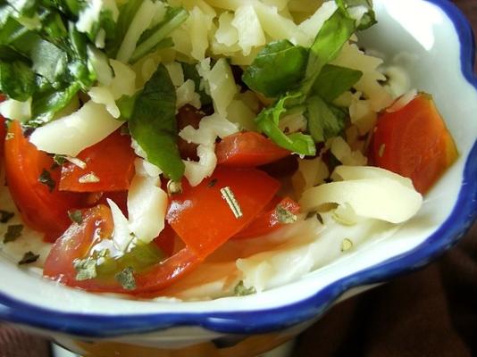 trempette philly tomates-basilic