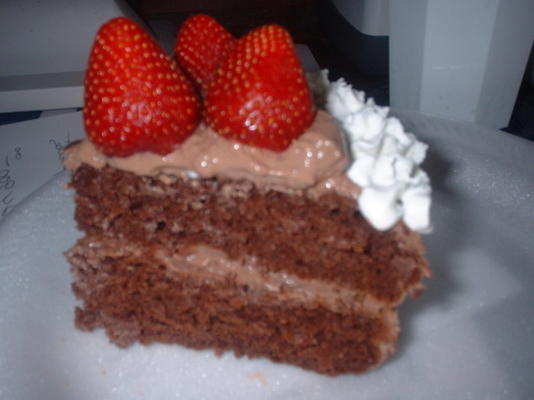 gâteau au chocolat sans gras