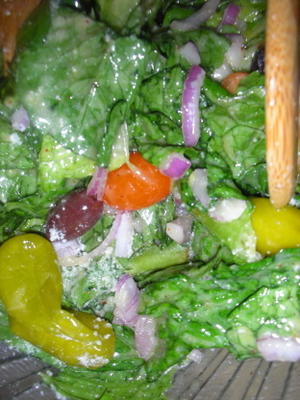 salade italienne rapide avec une vinaigrette crémeuse (femme pionnière)