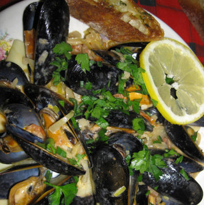 moules crémeux de sarasota sur des pâtes avec du pain aux herbes