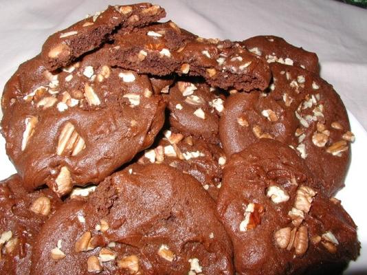 biscuits au chocolat et aux pacanes (meilleurs que la boulangerie Publix)