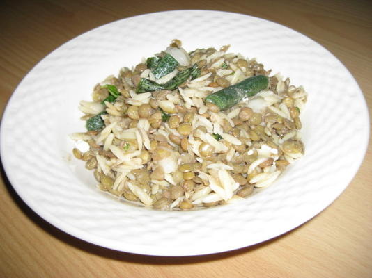 orecchiette aux lentilles, menthe et feta