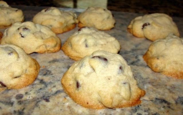 meilleurs biscuits aux pépites de chocolat du wisconsin