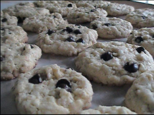 biscuits graham aux pépites de chocolat