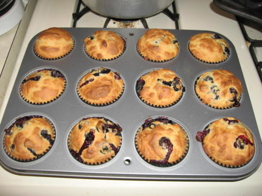 muffins aux myrtilles et au yogourt