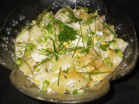 salade de pommes de terre zippy