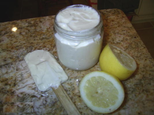 mayonnaise mélangeur facile