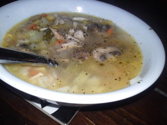 soupe de dinde maison à l'ancienne de jane et michael stern