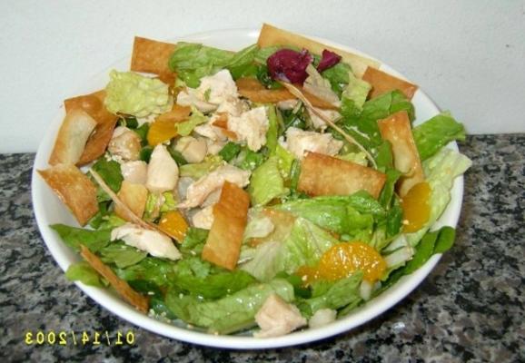 Salade Won Ton