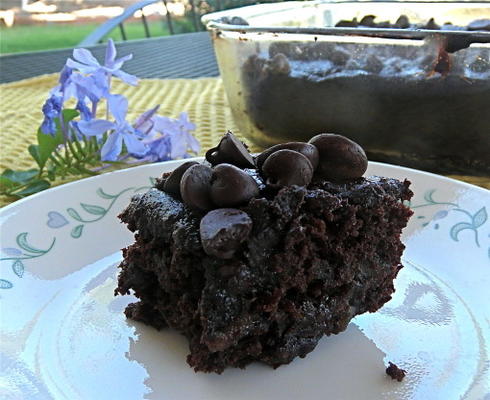 double brownies au chocolat amical d'allergie