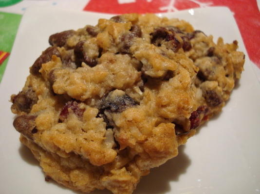 flocons d'avoine - biscuits du mélange des sentiers (petit-déjeuner à emporter)