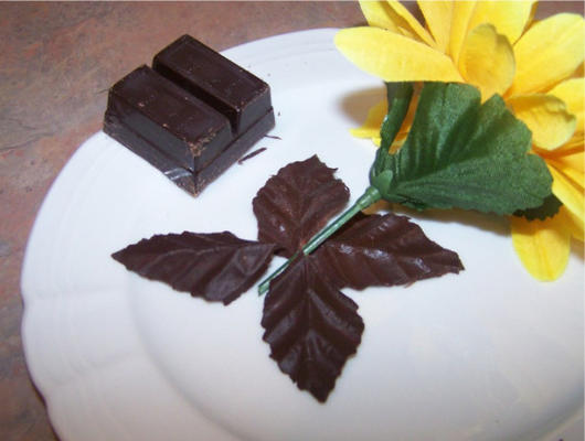 feuilles de chocolat décoratives