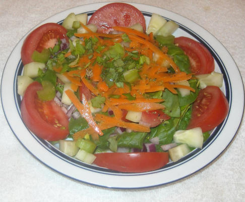 Salade verte simple d'Irlande pour 2 avec vinaigrette au citron vert clair