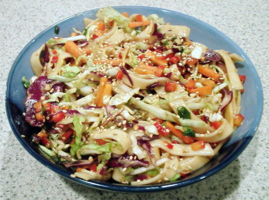 épicée Salade de nouilles