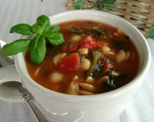 soupe aux pois chiches, aux épinards et aux pâtes