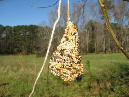 cônes d'alimentation d'oiseaux