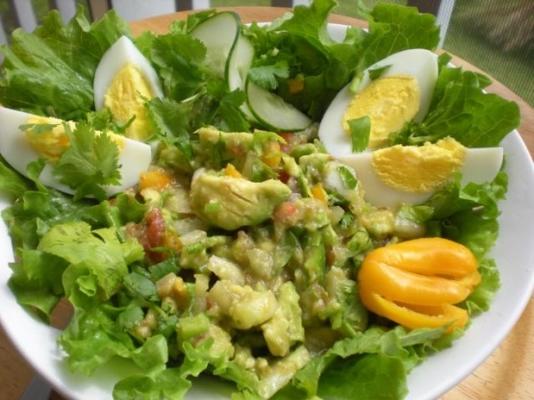 salsa floridanatives, salade d'avocat et d'œufs