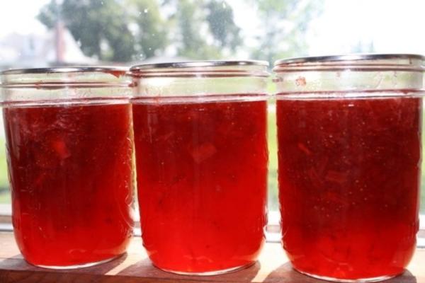 Confiture de fraises et rhubarbe (certo liquide)