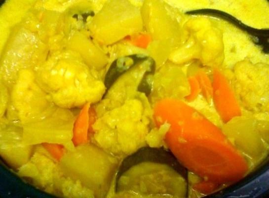 sayur lodeh - curry de légumes de Malaisie (mijoteuse)