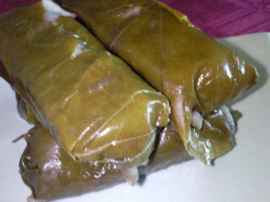 feuilles de vigne farcies - warak einab