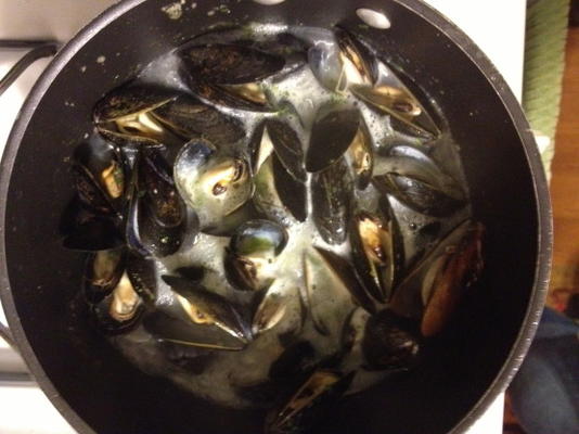 moules cuites à la vapeur avec sauce aurore