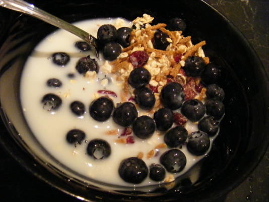 muesli au son et aux canneberges (régime miracle de 21 jours: jour 4)