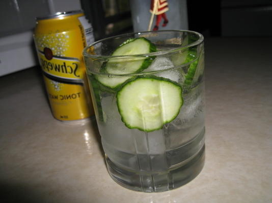 gin tonic au concombre