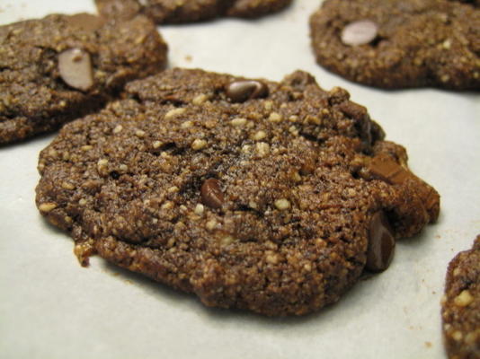 biscuits double chocolat moka (sans gluten et végétalien!)