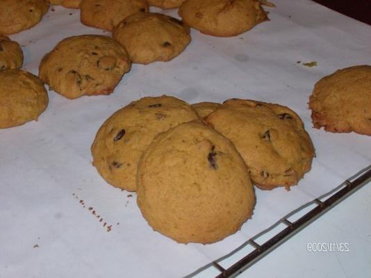 biscuits aux pépites de chocolat citrouille-pacane