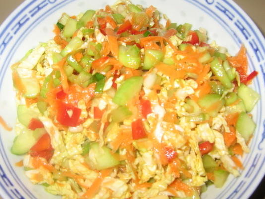 salade de chou de style asiatique faible en gras pour deux