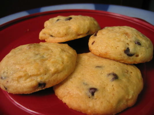 tous les cookies aux pépites de chocolat adultes