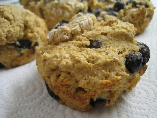 muffins aux bleuets et au blé entier sans sucre et sans sucre