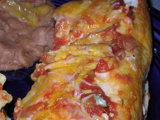 enchiladas au fromage - oamc ww