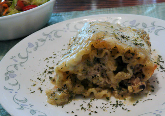 lasagnes rollups olandeacute;