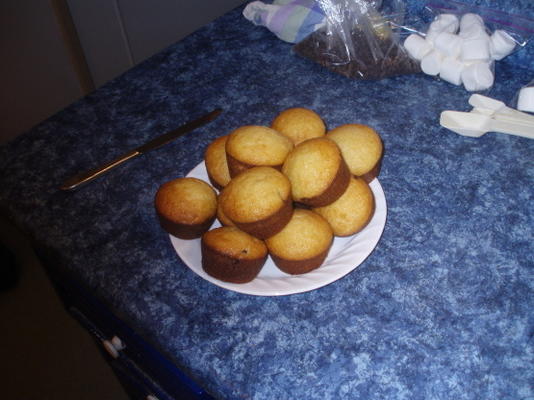 muffins pépites de chocolat à la guimauve