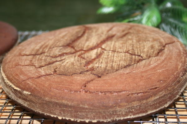 gâteau au chocolat ultra humide