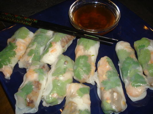 rouleaux d'été thaïlandais