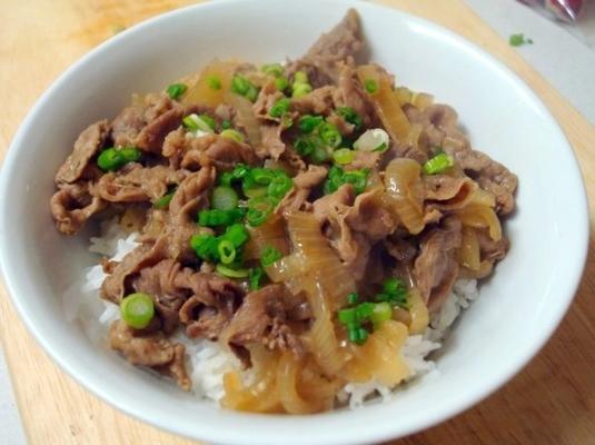 gyudon (bol de boeuf)