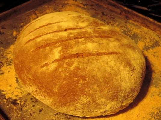 pain au levain de blé entier