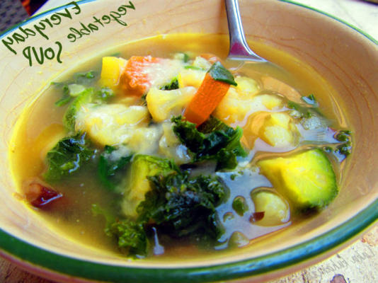 soupe de légumes de tous les jours