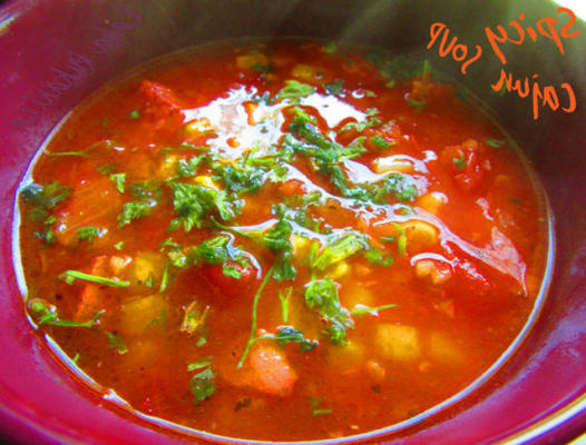 soupe cajun épicée