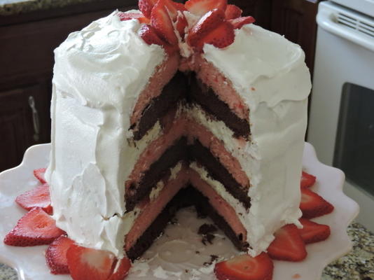 gâteau à la fraise et au brownie