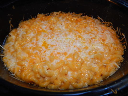 macaronis et cheddar / parmesan