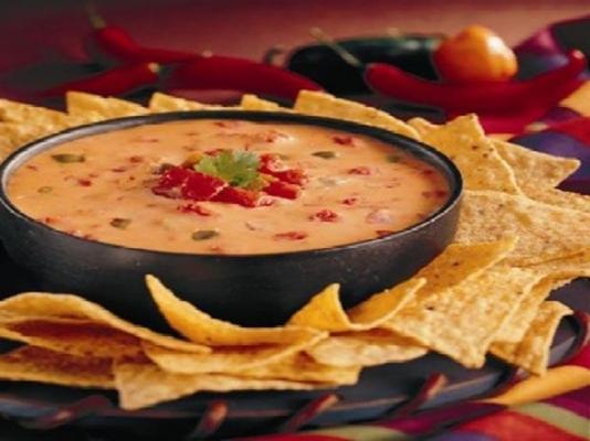 célèbre queso dip: la bonté verte