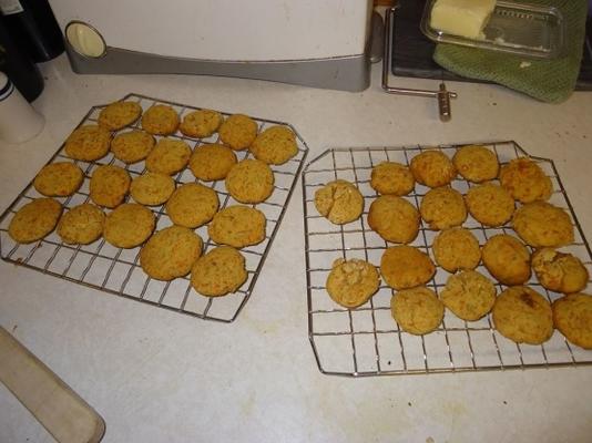 biscuits pour chiens à faible teneur en protéines de l'iris