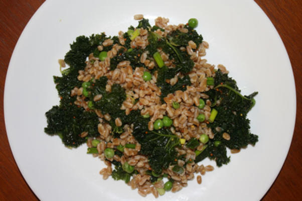 salade farro au chou frisé