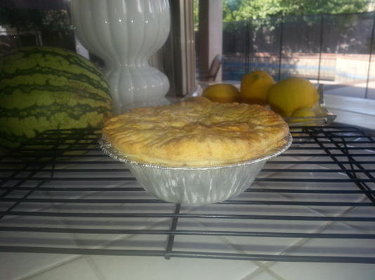 croûte anglaise pour casseroles à la viande