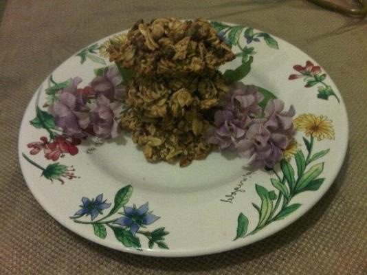 biscuits aux brisures de chocolat sans farine d'avoine