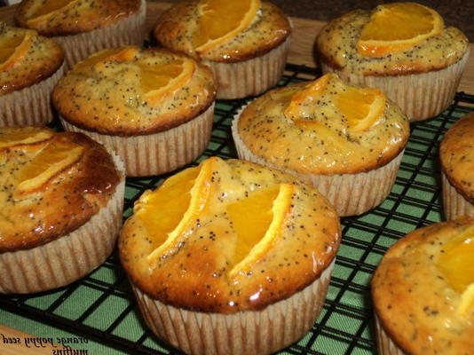 muffins aux graines de pavot orange